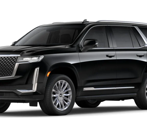 cadalic sadan coprate limo