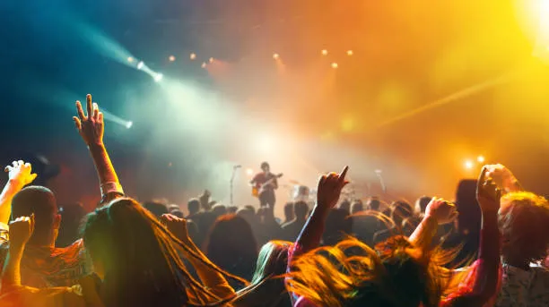 A cheering crowd at a live concert venue, highlighting the specialized event transport offered by our Auburn Hills Airport Taxi and Limo Service
